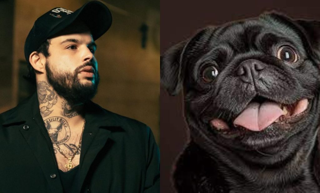 Emiliano Aguilar vs Gordo el Pug, ¿cuál de los dos gana más dinero en redes?